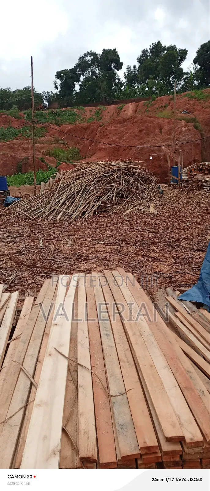 Timber Supply In Kampala