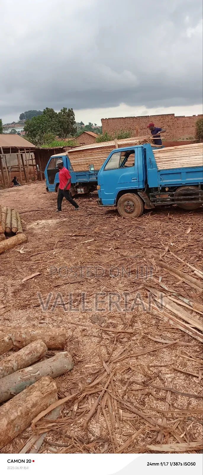 Timber Supply In Kampala