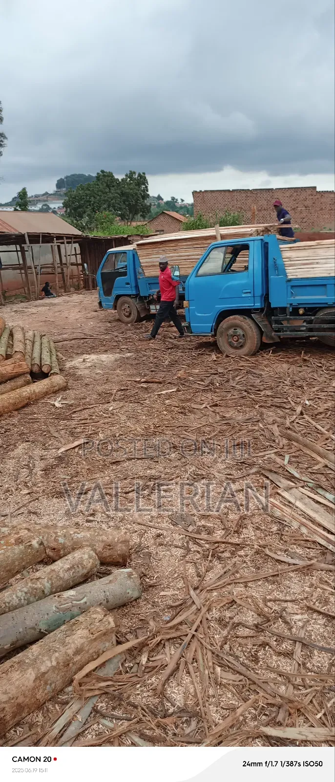 Timber Supply In Kampala