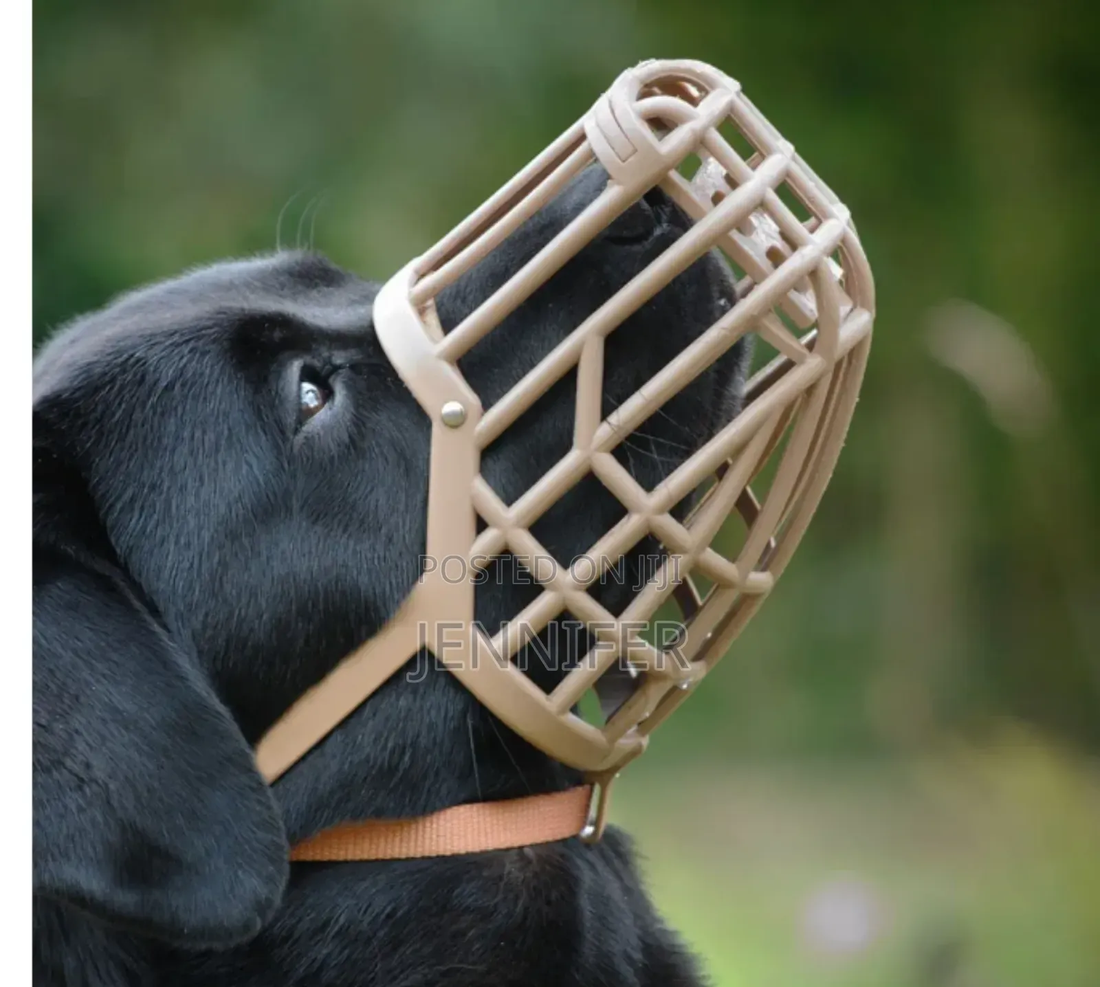 High Quality Dog Muzzle