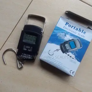 Simple High Precision Hanging Luggage Scales 50kg Weights