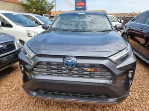 Toyota RAV4 2022 Gray