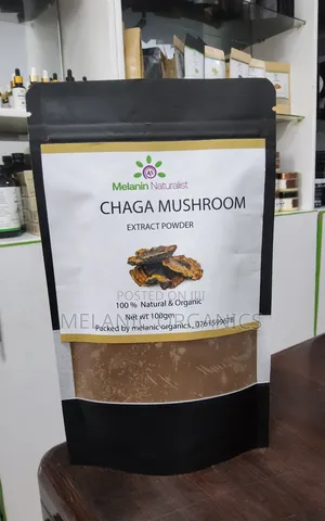 Chaga Mushroom