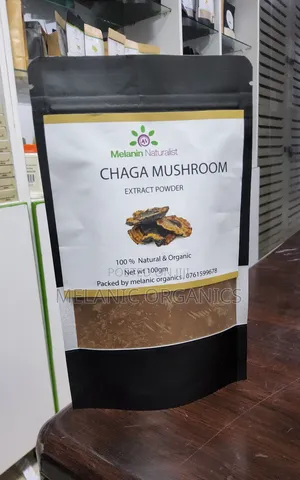 Chaga Mushroom