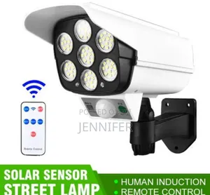 Luminaria Solar Motion Sensor Light