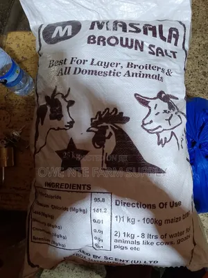 Brown Salt 25kg