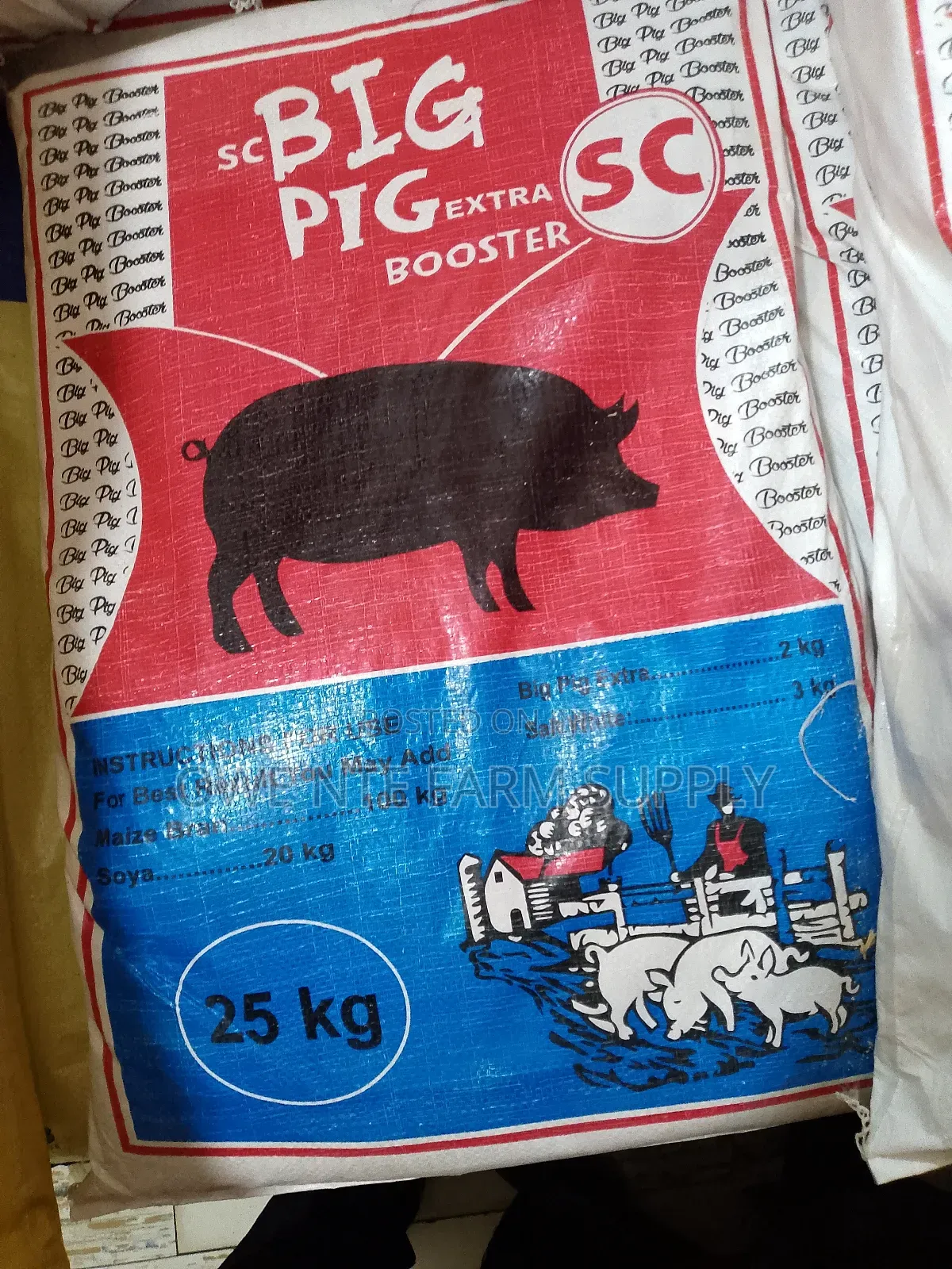 Big Pig 25kg
