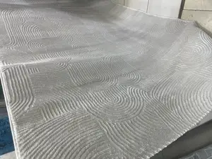 Modern Silky Carpet