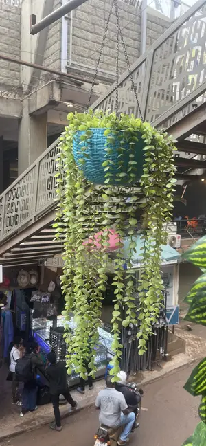 Artifial Lawn