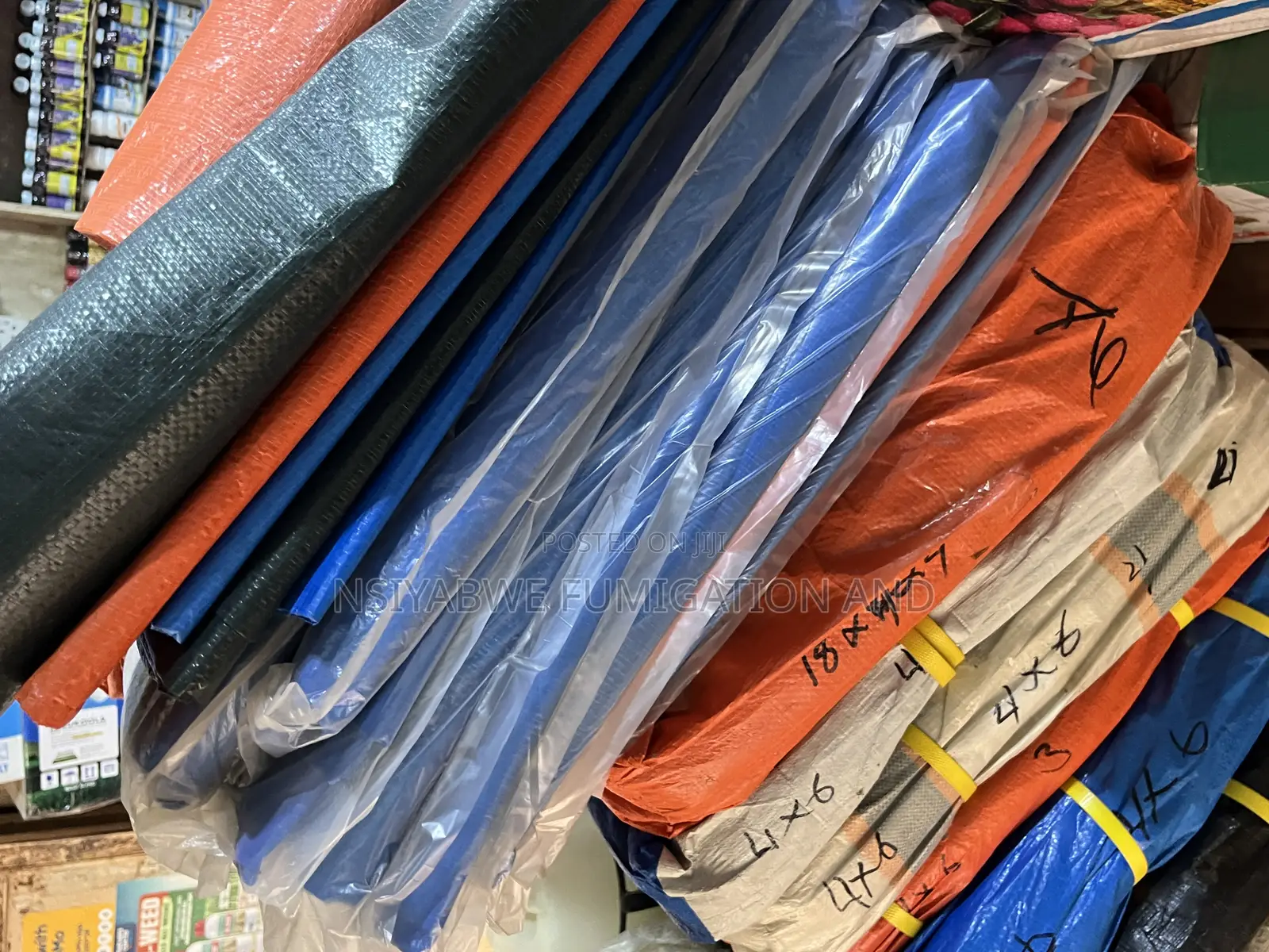 Turplin in All Sizes