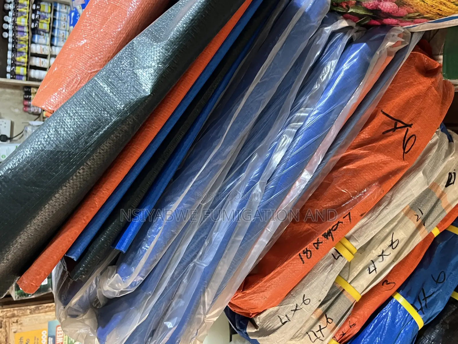 Turplin in All Sizes