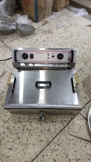 20litres Commercial Electric Fish Deep Fryer