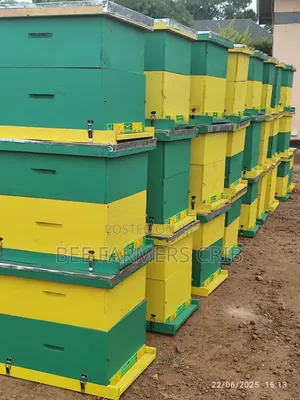 Langstroth Bee Hive