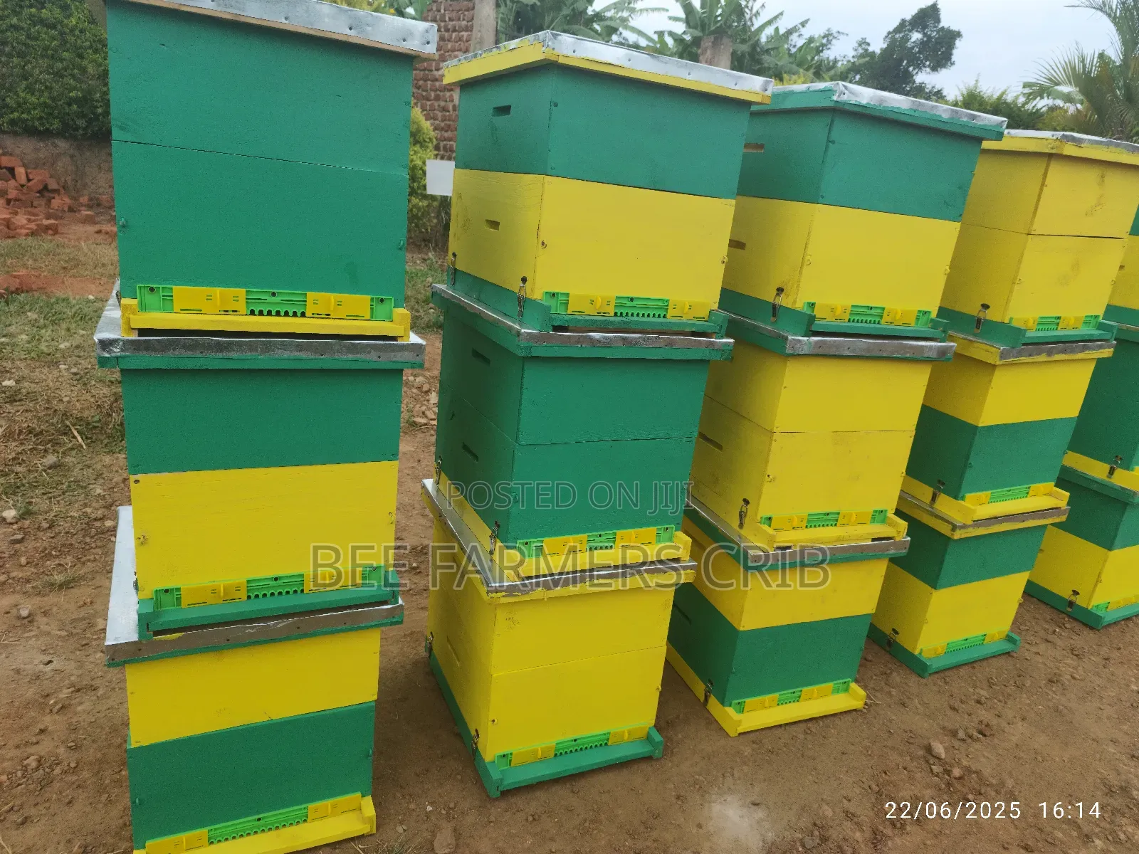 Langstroth Bee Hive