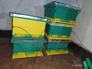 Langstroth Bee Hive