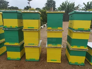 Langstroth Bee Hive