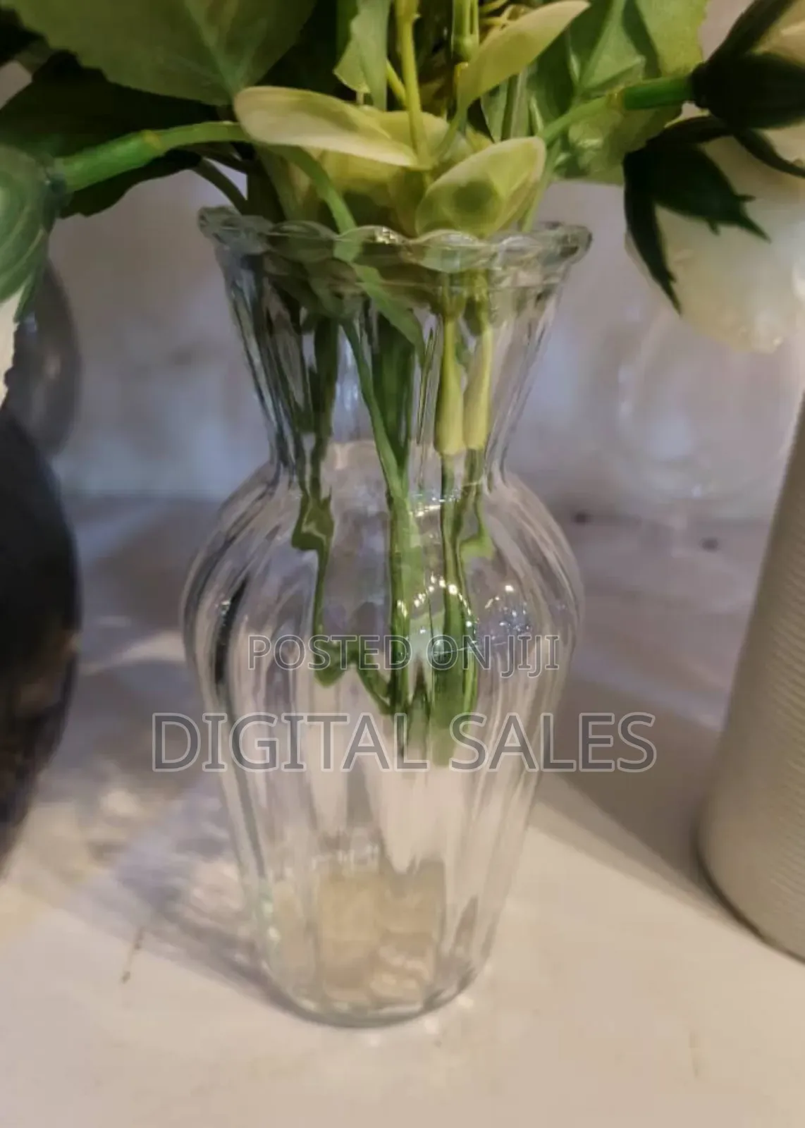 Clear Glass Hydroponic Single Mini Vase