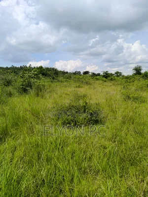 Masaka 100 Acres Freehold at 12m Per Acre