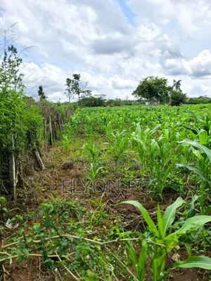 70 Acres Kampeka at 12m Each