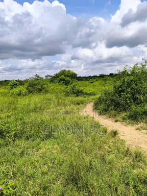Nakasongola 2 Sq Miles With Milo Land Title at 10m Per Acre