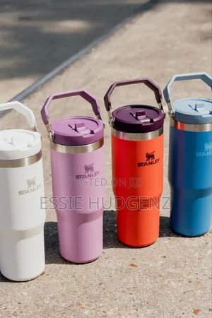 Stanley Bottle With Straw