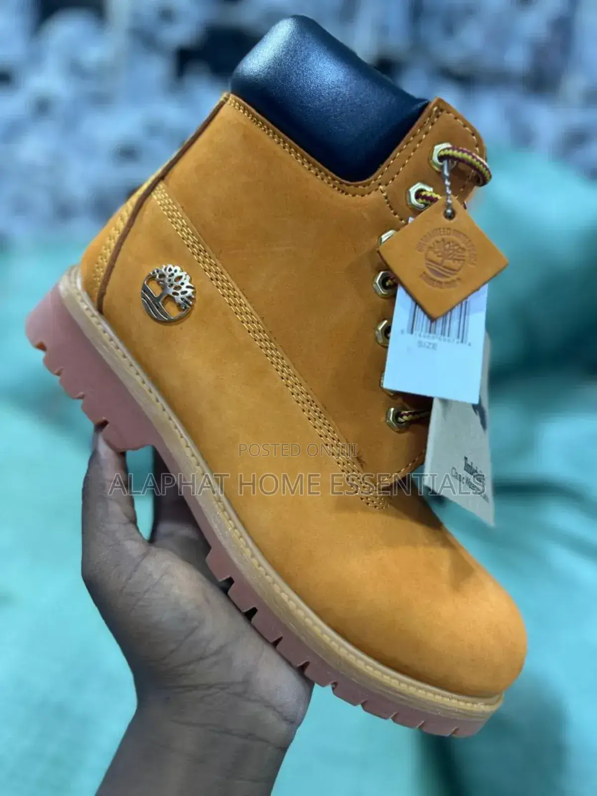 Timberland Shoes/Boots