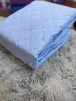 Water Proof Sky Blue Matress Protectors