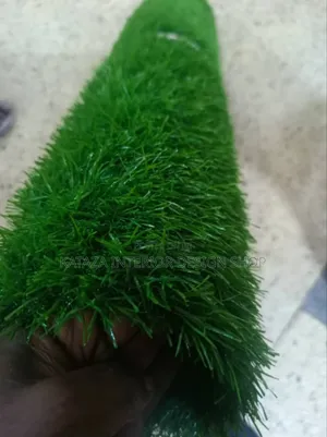 Turf Grass Carpet/Grass Carpet