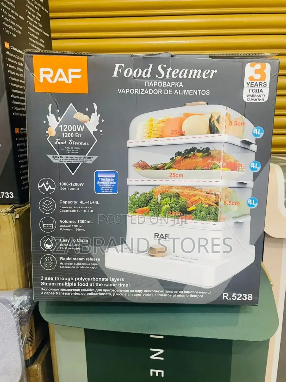 Raf Electric Steamer