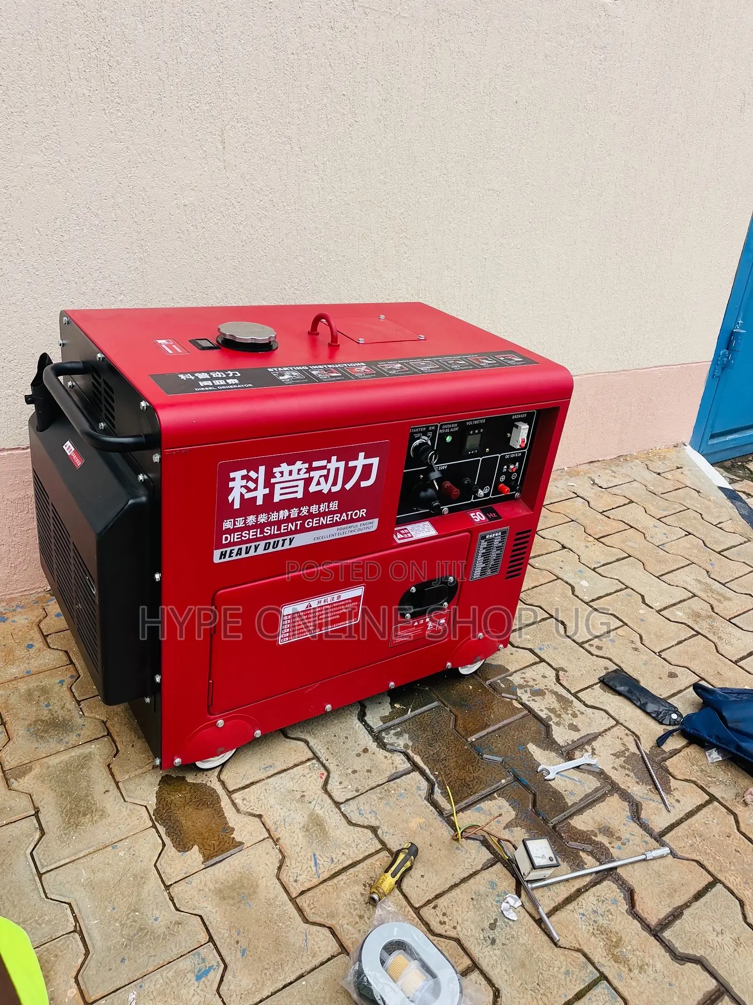 Generator Installation Professional Services