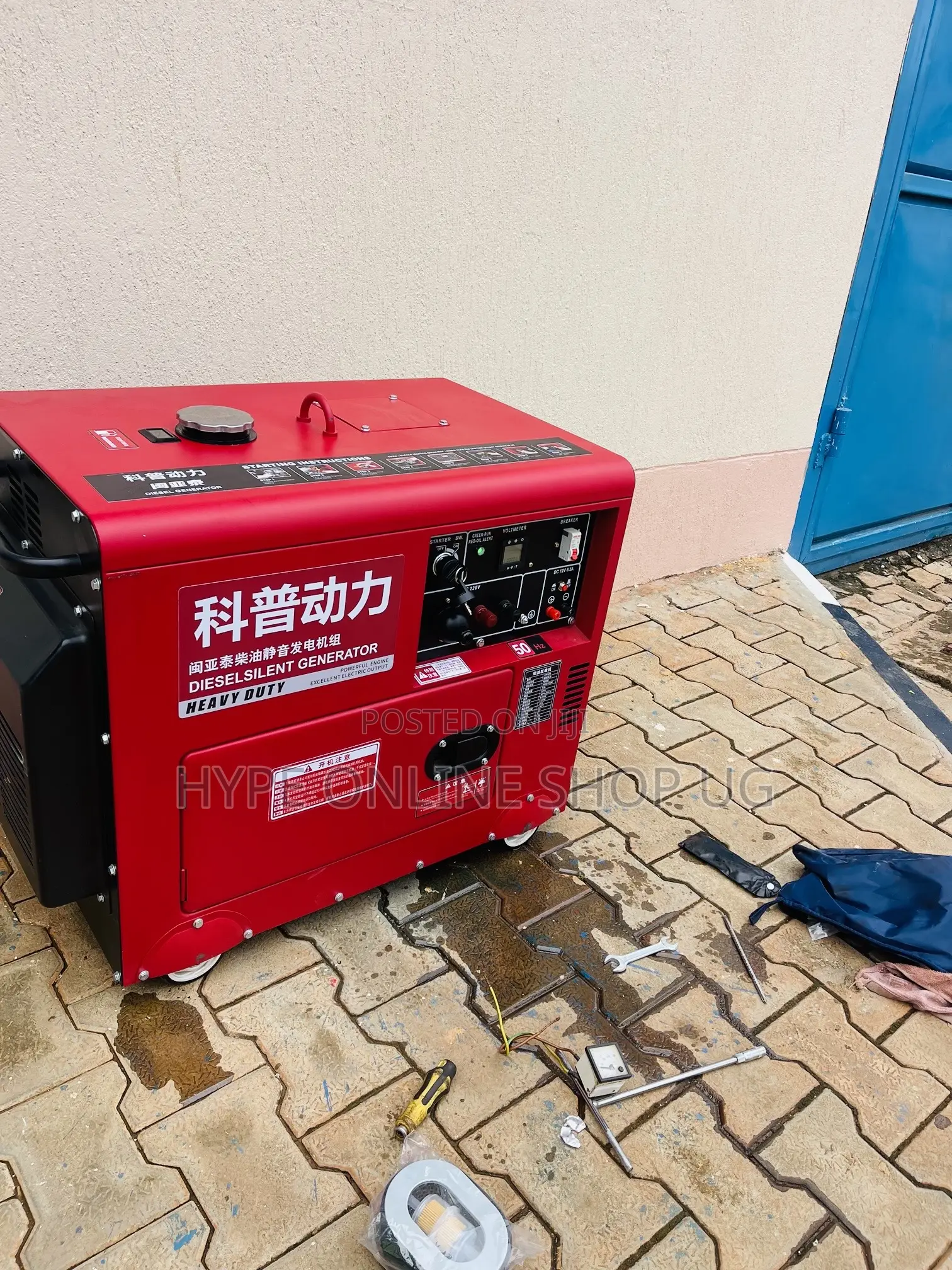Generator Installation Professional Services