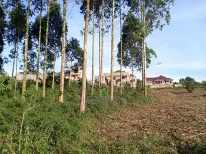 Plots in Namugongo Sonde Hill View Estate 50x100 55m Each