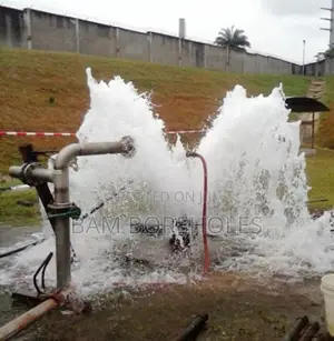Borehole Flushing