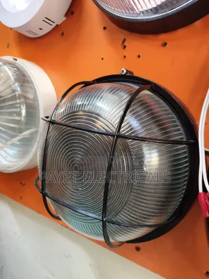 Rj Ceiling Light/Security Light