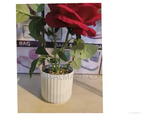 Decorative Ceramic Flower Vase-White