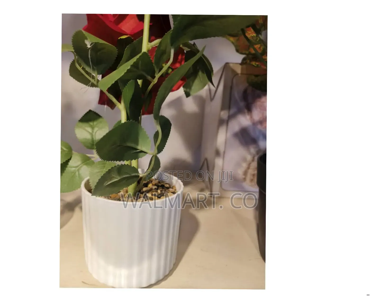 Decorative Ceramic Flower Vase-White