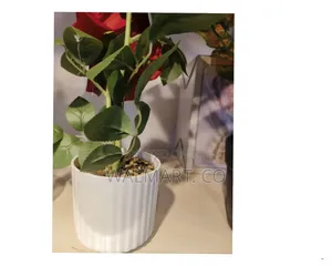 Decorative Ceramic Flower Vase-White