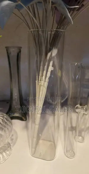 Transparent Long Flower Vase