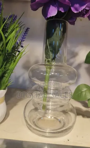 Transparent Single Flower Vase.