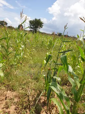 1 Square Mile of Land for Sale in Kayunga