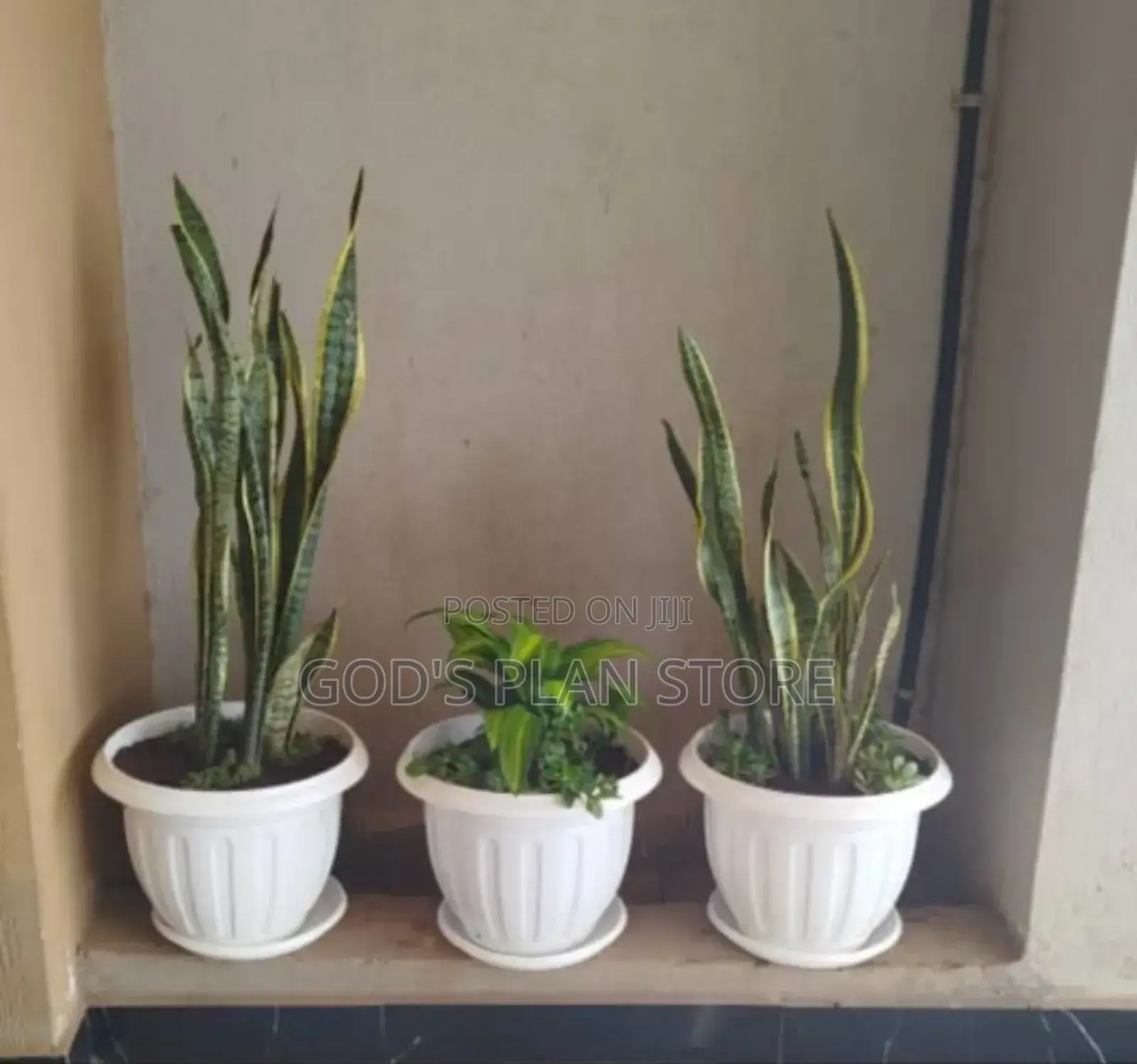 Complast Plastic Flower Pots Round
