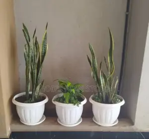 Complast Plastic Flower Pots Round