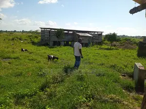 80 Acres of Land for Sale Near the Lake