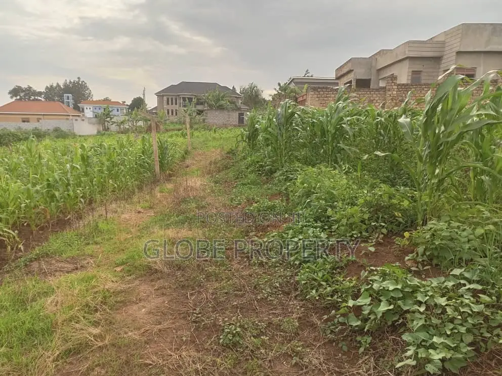 Plot of 50x100 for Sale in Sonde