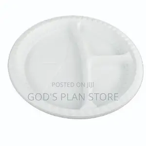 Partitioned Disposable Plates 250pcs
