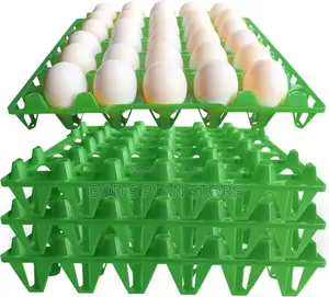Plastic Eggs Trays Carton 100pcs