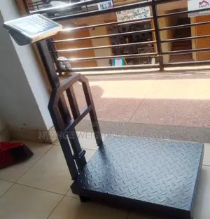 Digital Weighing Accurate Weigh Platform Weighing Scales 300kg-350kg