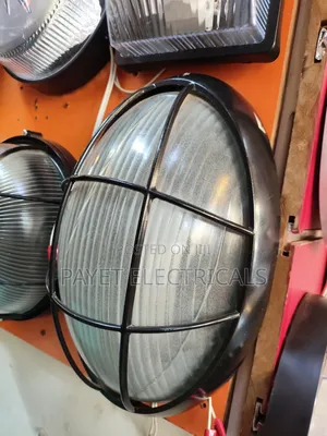 Oval Wall Security Light