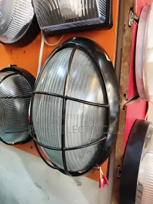 Oval Wall Security Light