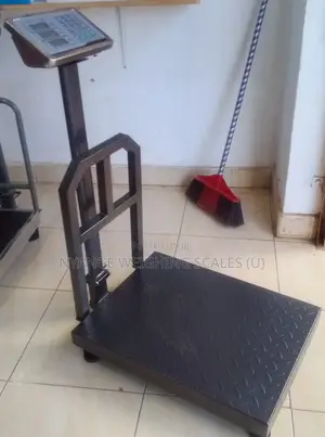 Industry Weigh Platform Weighing Scales 350kg Weighing Scale